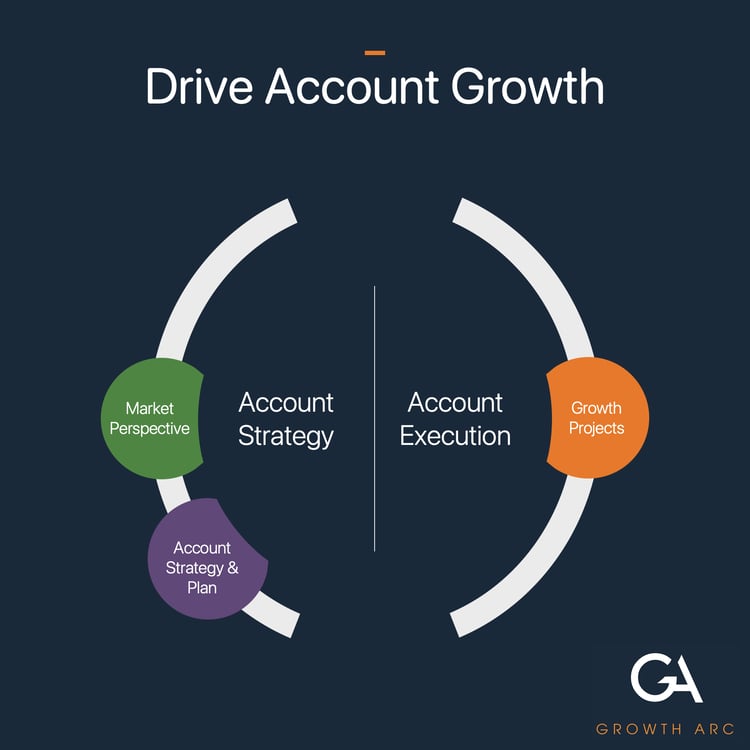 How do I Drive Growth with my Strategic Customers?